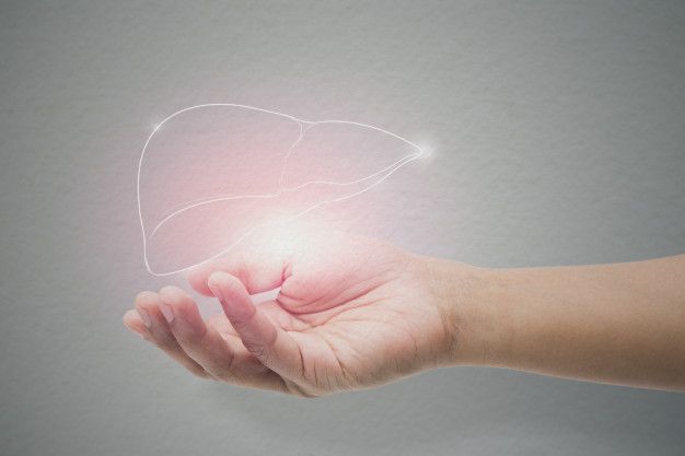 Как изменить свою жизнь, избавившись от вредных привычек для печени