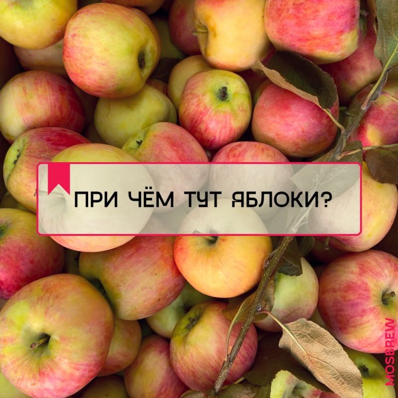 ��� ��������� ����������� ����������� ������� ��������