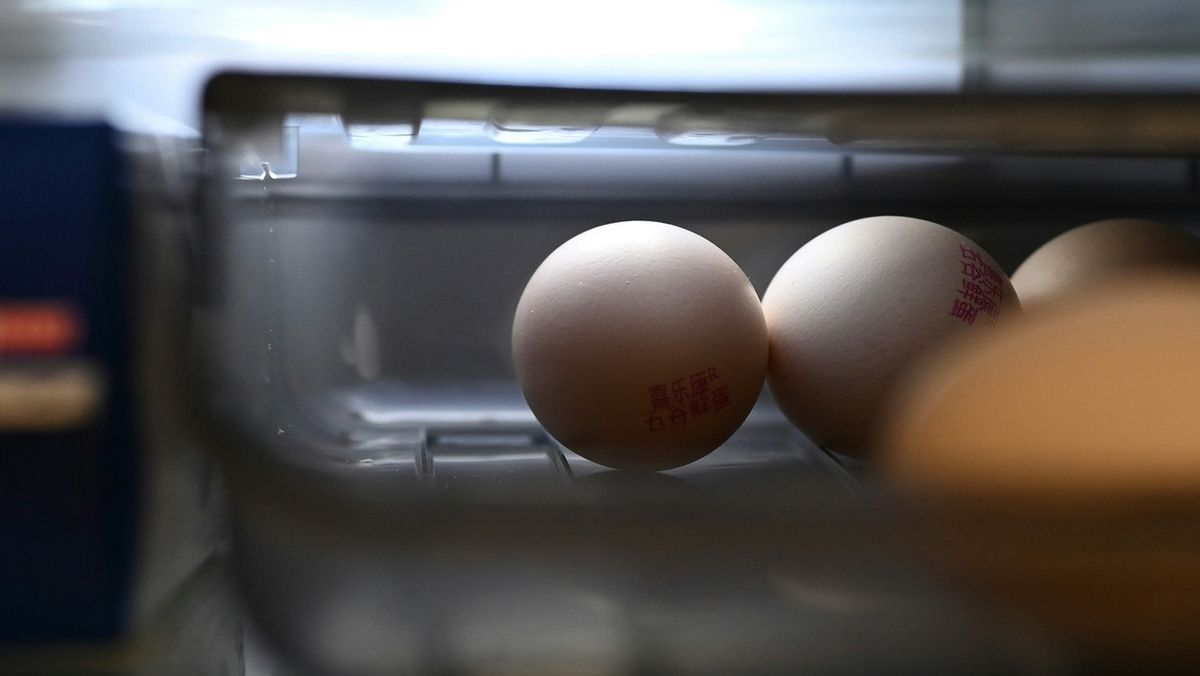 Почему яйца не стоит хранить на дверце холодильника