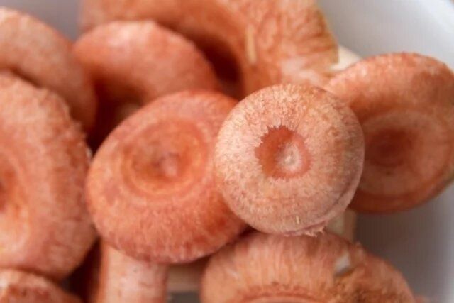 ��� ��������� ������� ��������: ������ � �����������