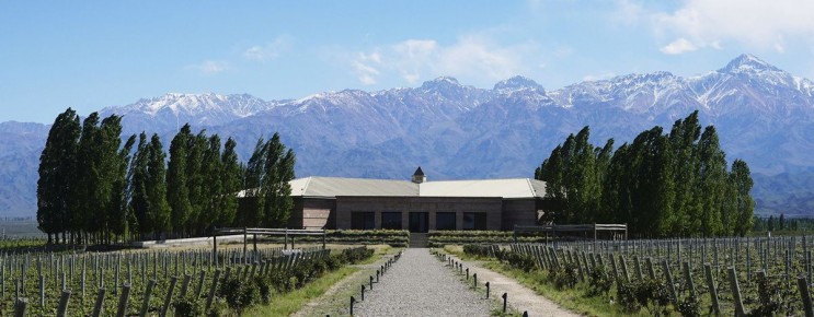 Вина Нового Света: откройте для себя уникальные вкусы