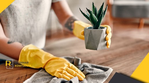 Пыль в доме: откуда она берется и как с ней бороться