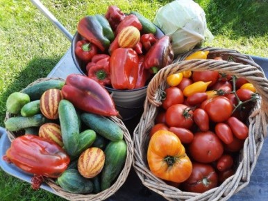 �������-������� �� ������ "������ �������": ����� ��������� ��� �����������