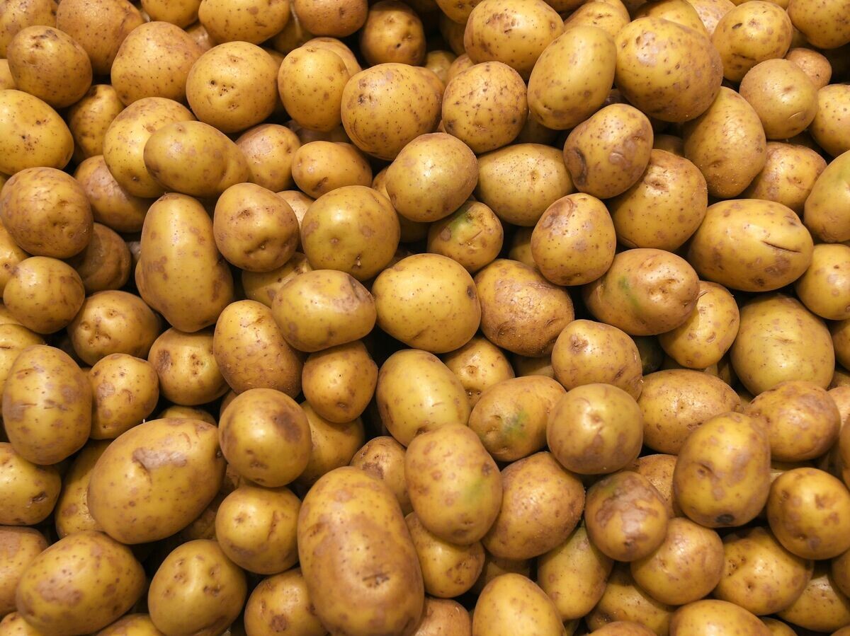 Секреты мытого и немытого картофеля: что выбрать для здоровья