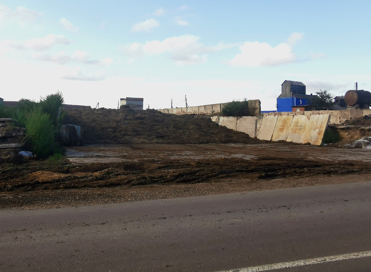 Понимание различий: компост и перегной для успешного садоводства