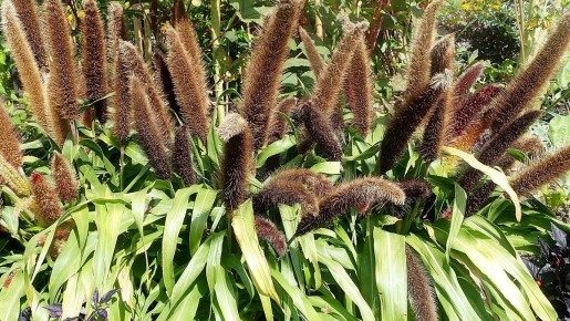 ����� �����: ������������ �������� � ���������� �������� �������