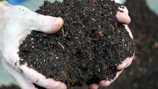 Как за 90 дней создать экологически чистый компост: три проверенных метода