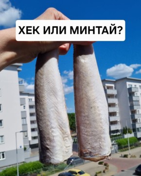 Очарование хека и минтая: от полезности до кулинарного разнообразия