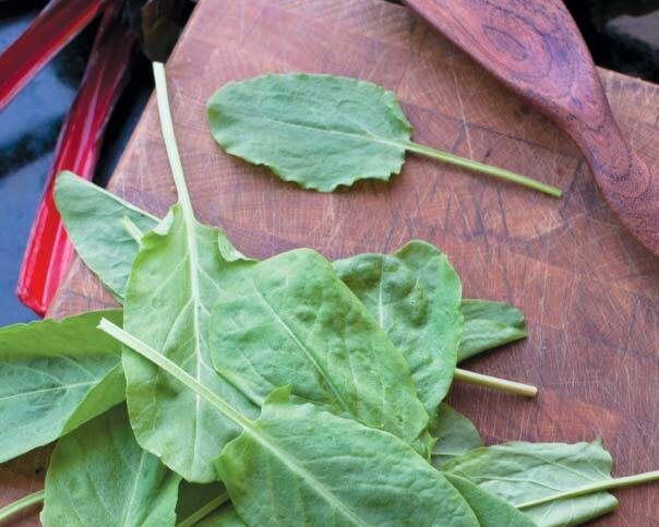 ������: �������� ������ ��� ������� ������ ��� ��������?