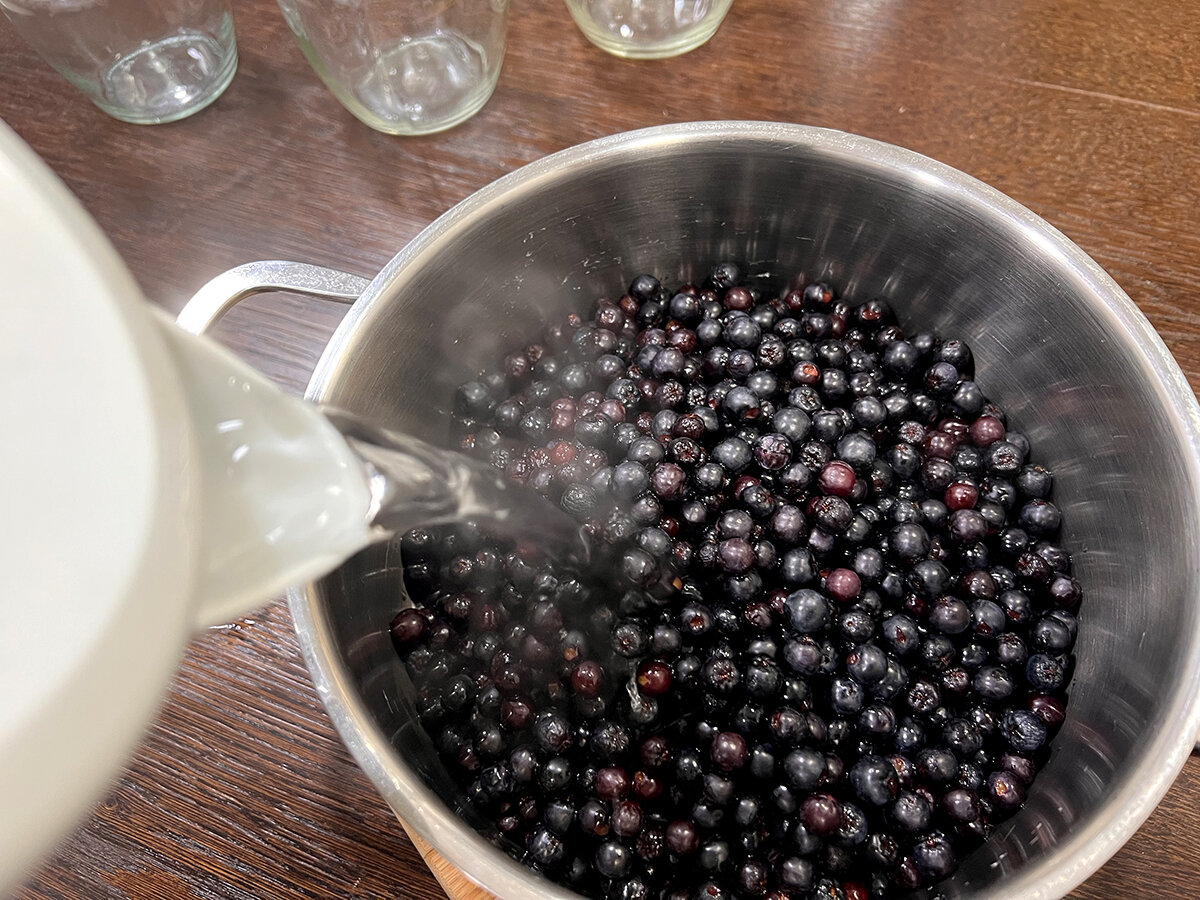 Черноплодная рябина: легкий способ заготовки ягод на зиму