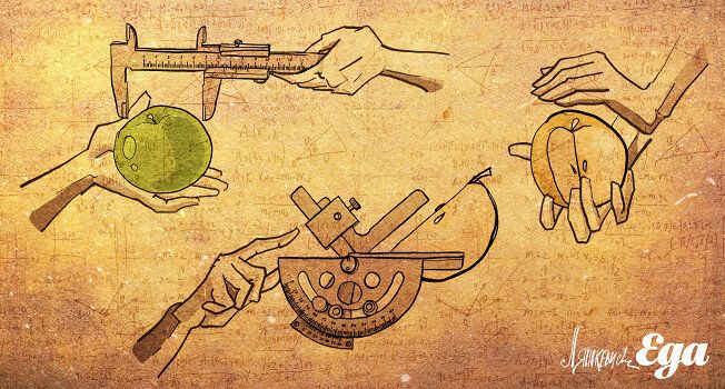 Исследуем Яблоки: Практические Советы и Секреты