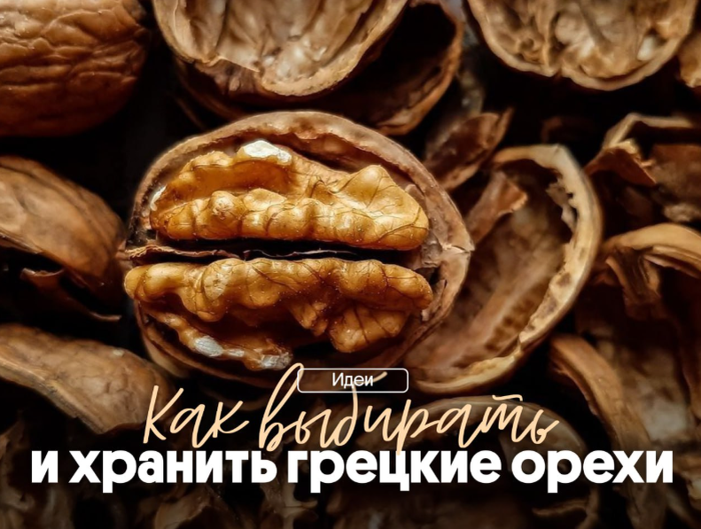 Грецкие орехи: секреты выбора, хранения и идеальные сочетания