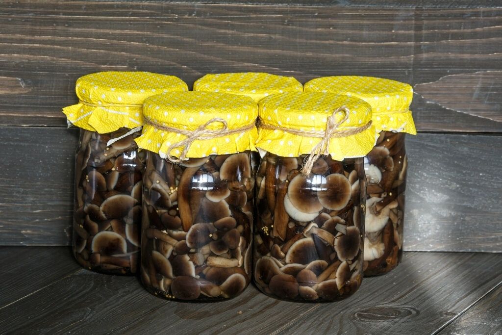 ������ ������������ �����