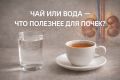 Чай или вода: что предпочтительнее для здоровья почек после 50
