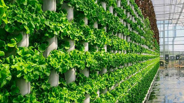 ������������ �����: �������� ������ � ��������� ���������