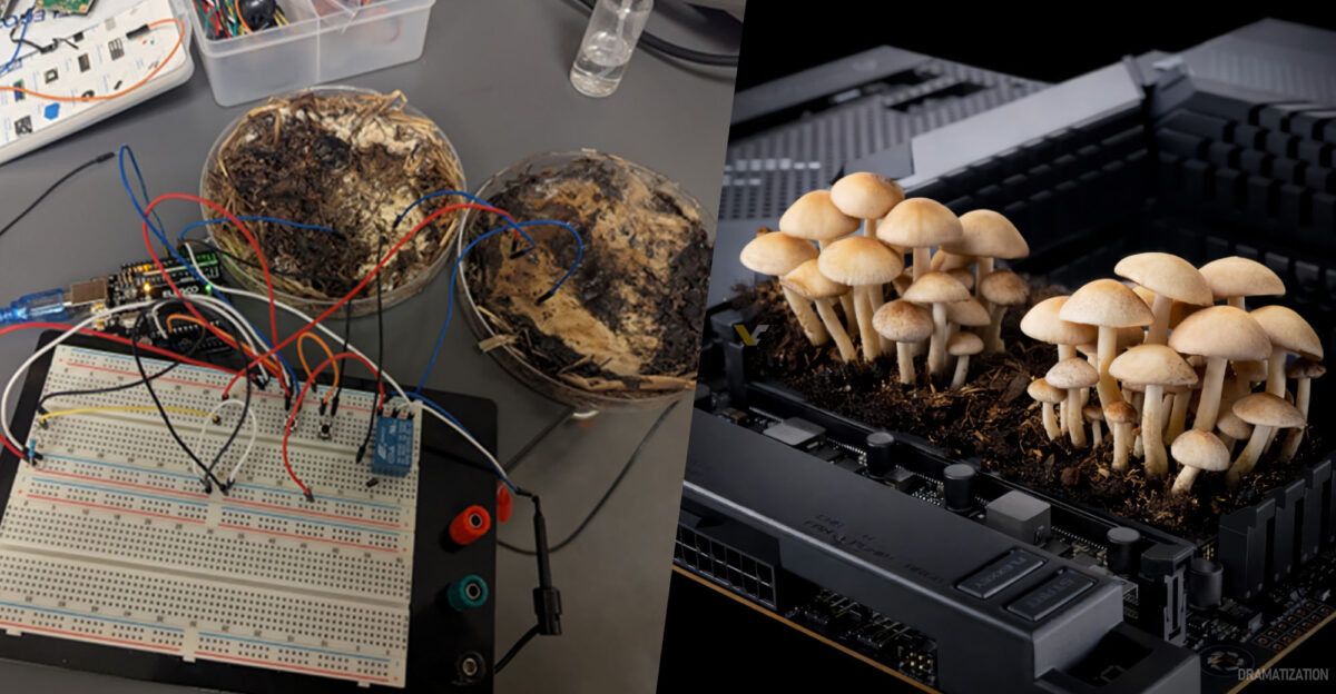 ������� ������: ������ ���������� ������� � ������������ ����������� ������