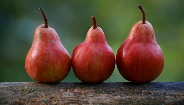 ������� ���� ��� �������� � ������: ������ � ������ � �������������