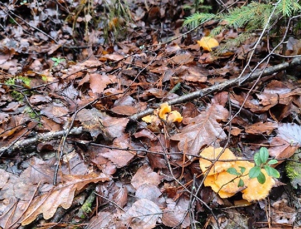 ��������� �������: ��������� ����� � ����������� ������ � ������