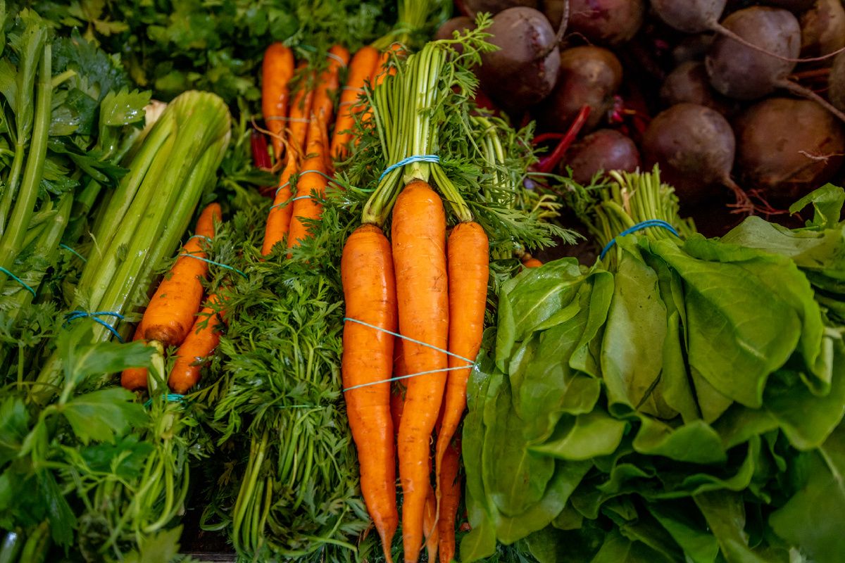 �������� ������� ������: ��� ���������� �������� ������� �����