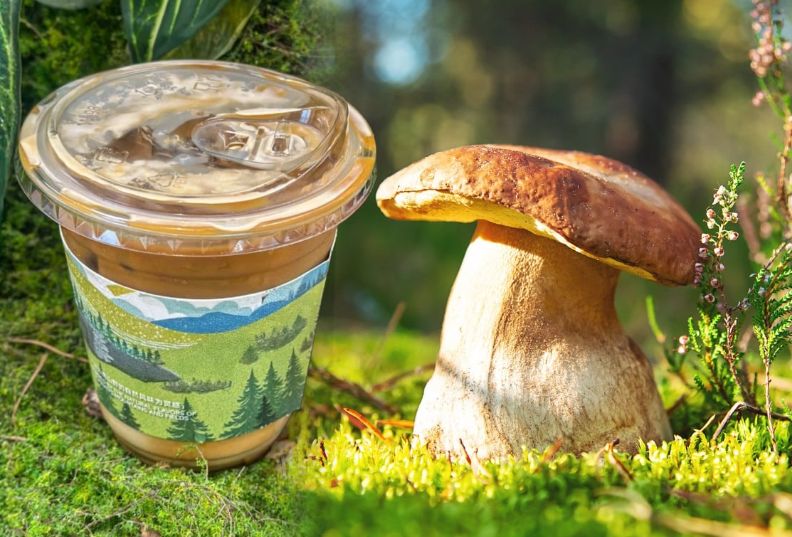 ���� � �������: ��������� �����, ������� ����������� �����