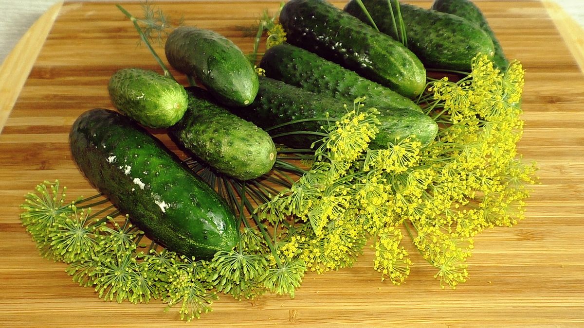 ��������� ���������� ������ �� ��������� ������: ����������� ������� ��� ������ �����