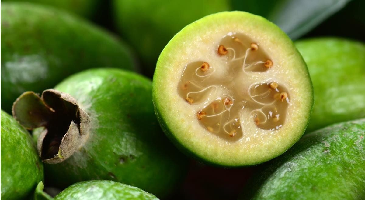 ������ ����� �������� ������ � ���� ������: ������� ������ � ������� �������