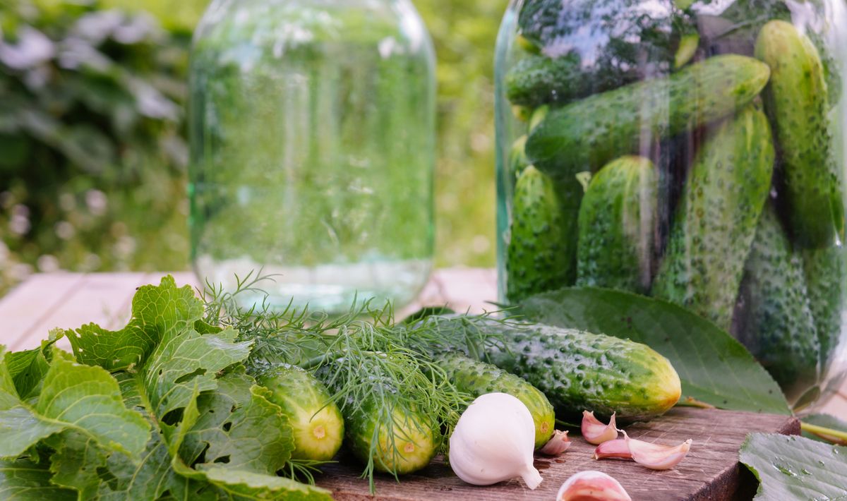 ��� ����������� ������ ������: ����������� �������� ������ �� ����