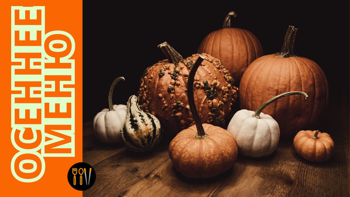 ����� ��������� ���� ������: 11 ������������ ��������, ������� ������� ���� ���������