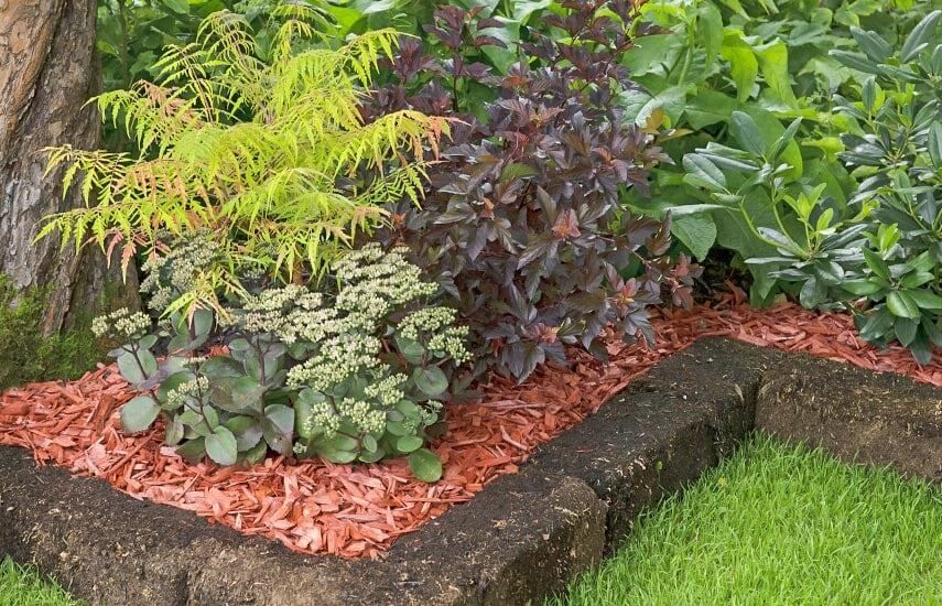 ��� ������������� �������� �������� ����� � ��������� ������