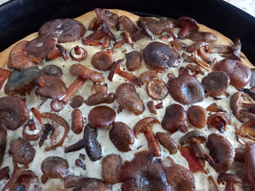 ��� �������� ������: ������� �� �������, ������� ����� ������