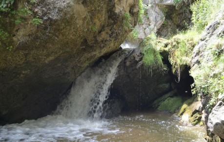 Медовые водопады: Удивительное пряное чудо Кавказа