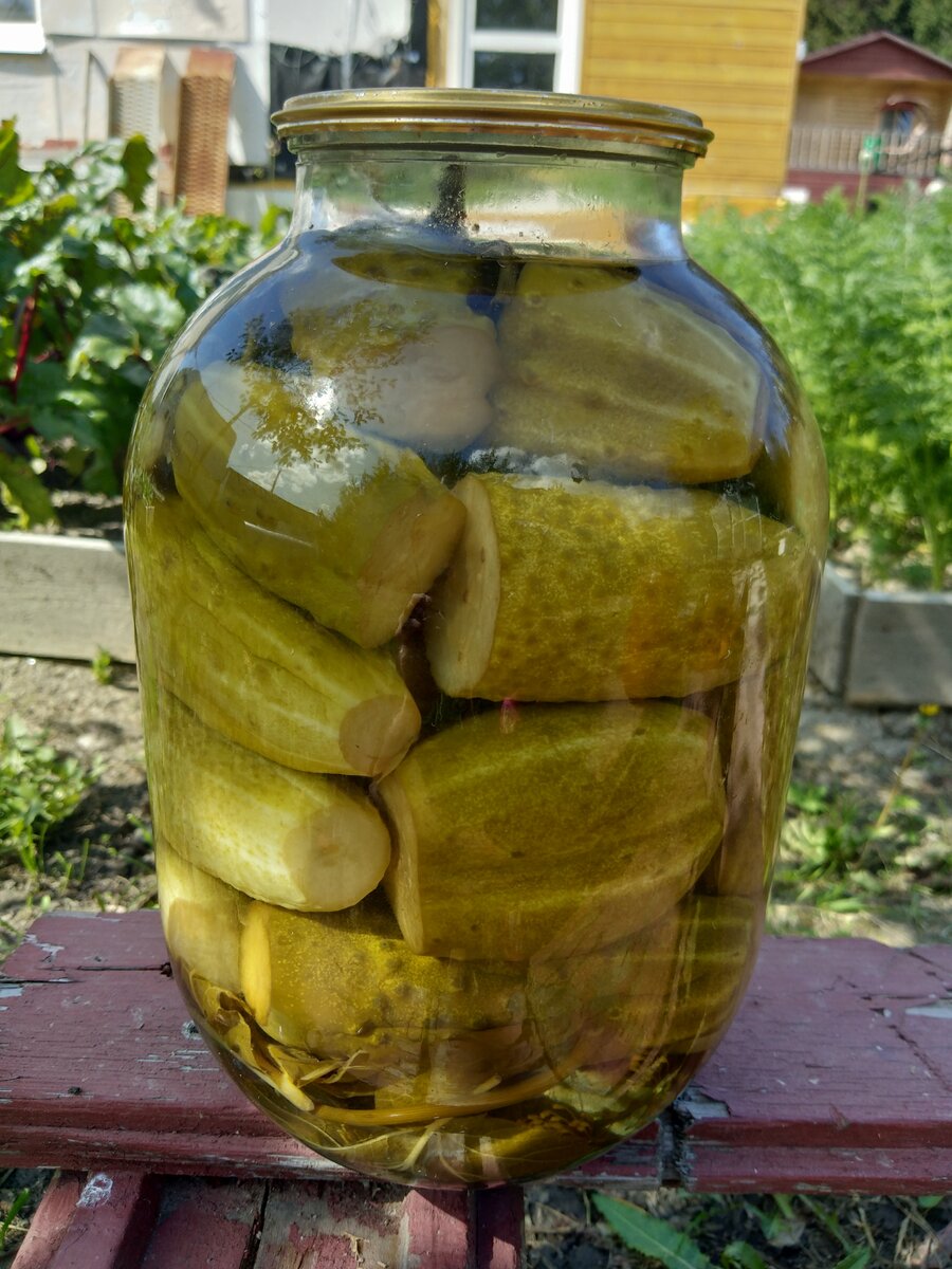 Наследие вкуса: Как приготовить хрустящие маринованные огурцы по старинному рецепту