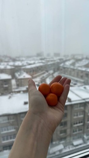 Цитрофортунелла: Экзотические Вкусы и Уникальные Открытия