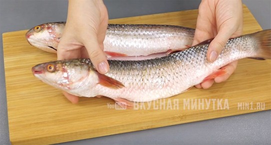 ������� ������ ����������� ���� ��� ������������ �����