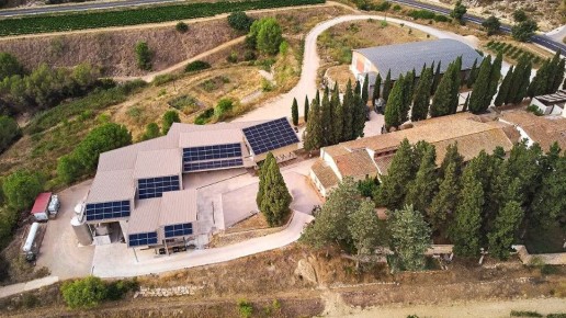 ����������� ������������� �������� ��� ���� ����� ���������