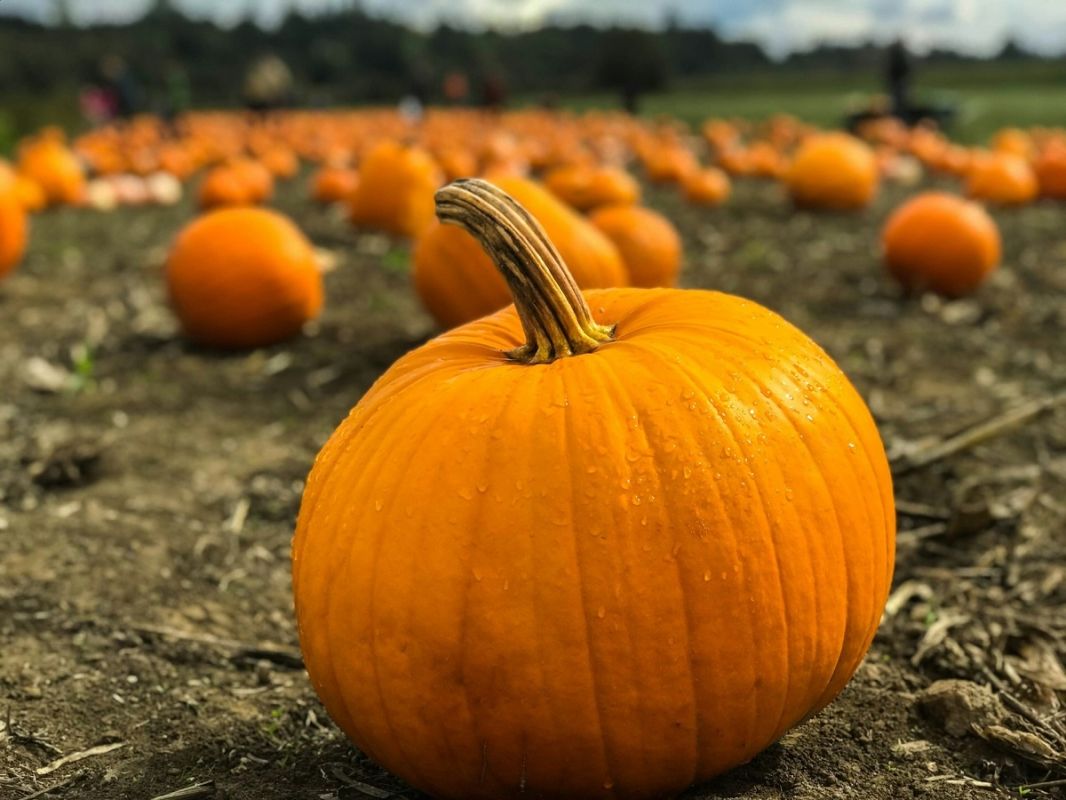 �����: ������� ��������� � �������� �����������