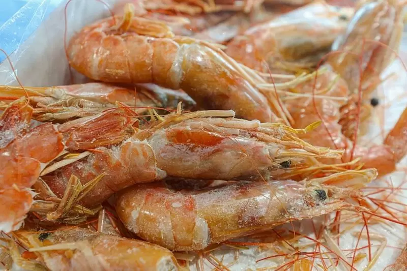 Необычный памятник креветке вскоре появится в Беларуси