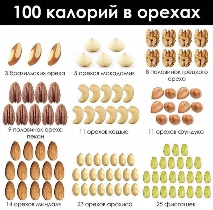 ��� ��������� ���� �����: �������� ������
