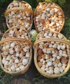 ������� ������ ����: ������� ��� ����� � ������������� ��� ������