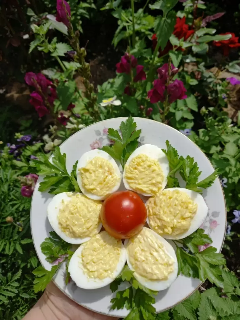 Фаршированные яйца: идеальное угощение для дачного отдыха