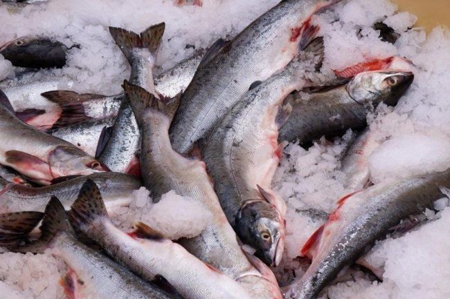 ����������� ����������� ���������: ���� �� ���� � 2026 ���� ��� ��������� ������������ ������