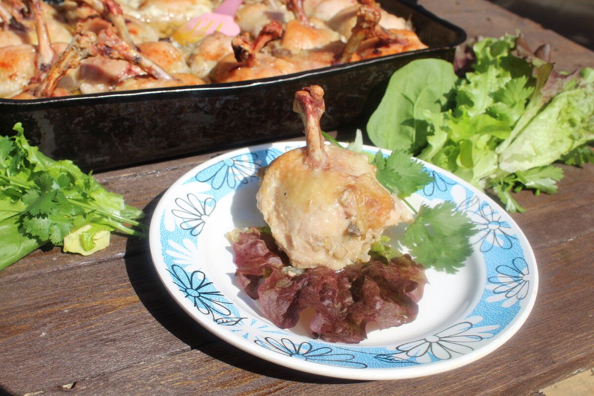 ������ � ������: ������� �������, ������� ������ �� ������ �����