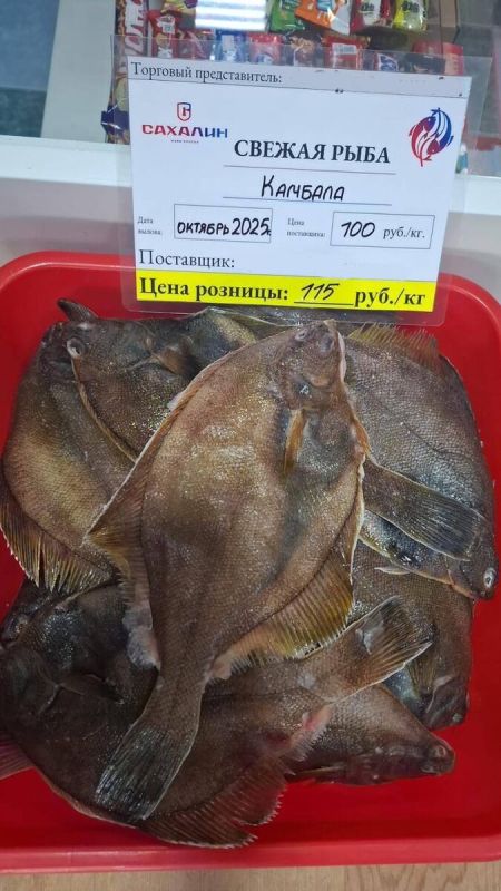 Свежая камбала по доступной цене: где купить сегодня