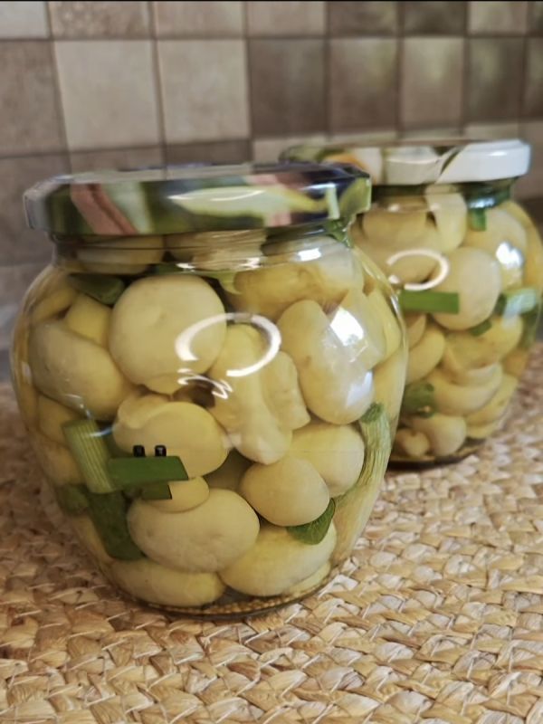 Быстро и вкусно: как сделать маринованные шампиньоны всего за 24 часа