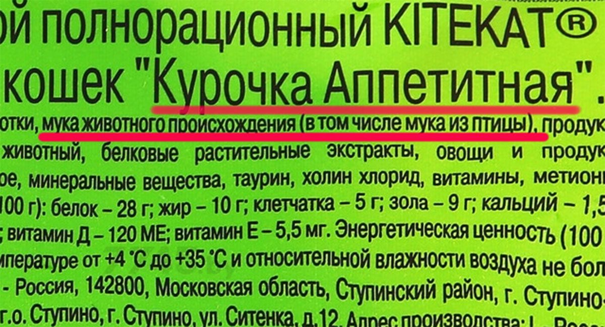 Как выбрать качественную красную икру: советы, которые надо знать